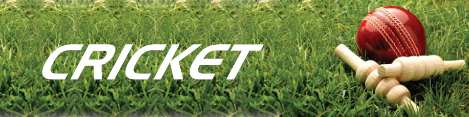 Cricket