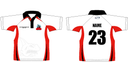 Swimming Polo