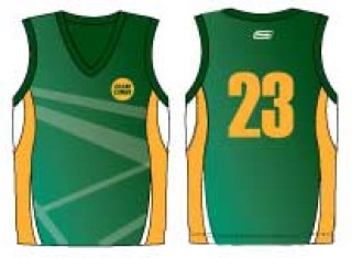cricket-limited-over-vest
